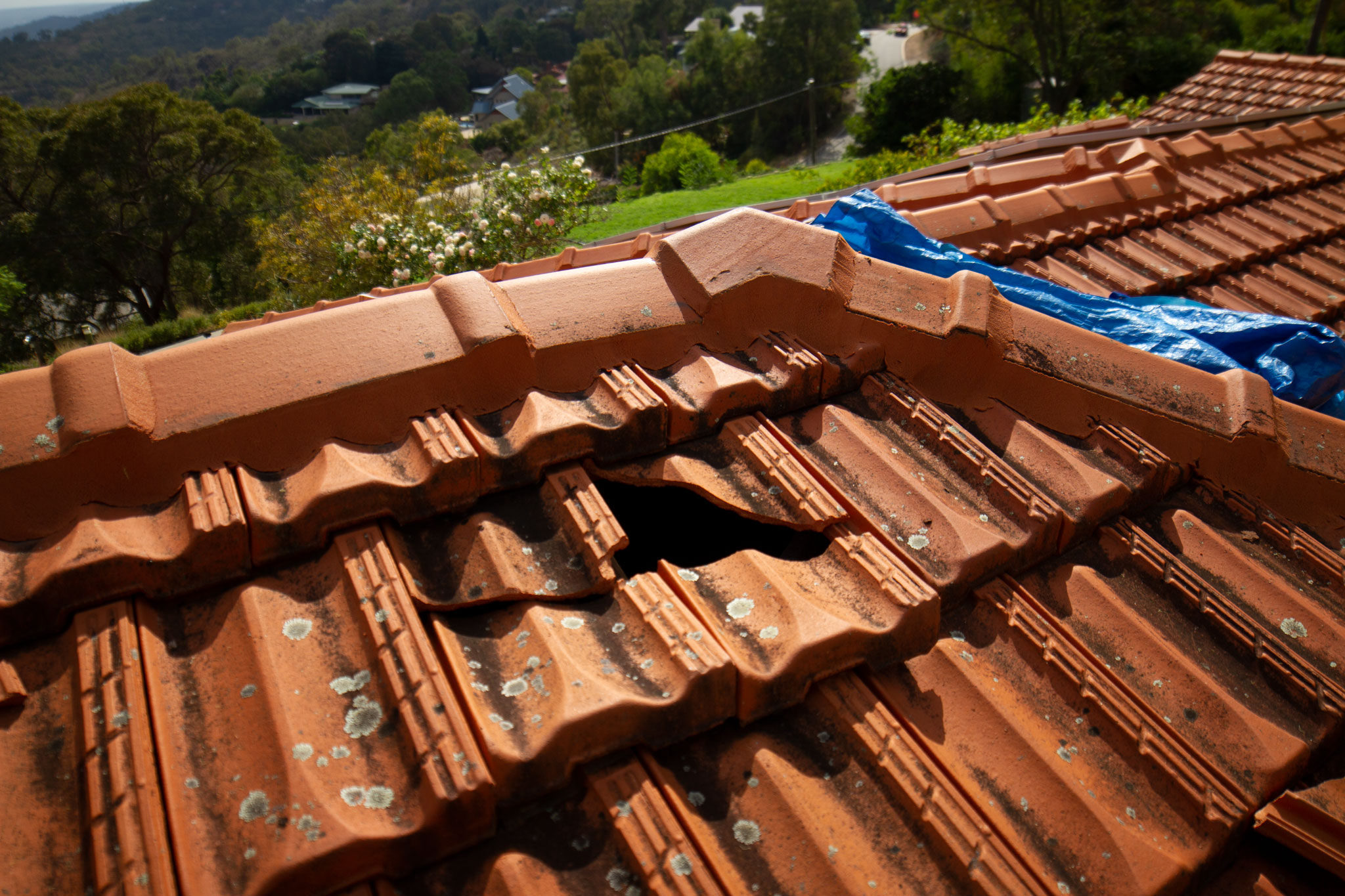 cracked roof tiles