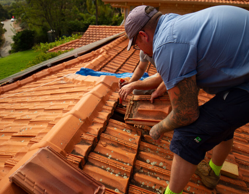 repair roof tiles